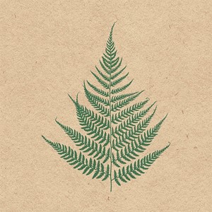 "Fern Leave"100% Recycled Servietter, 33 x 33 cm, 20
