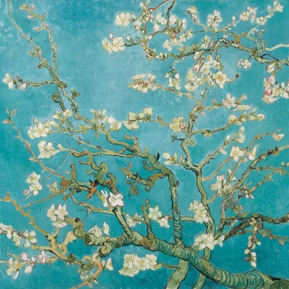 Elektrisk højt ubemandede Almond Blossom Servietter, 33 x 33 cm, 20 stk - Skatollet.no