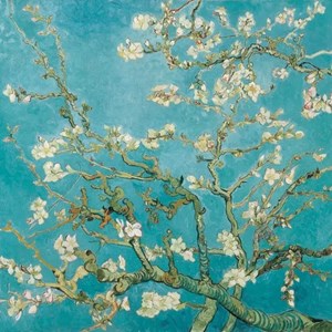 "Almond Blossom" Servietter, 33 x 33 cm, 20 stk