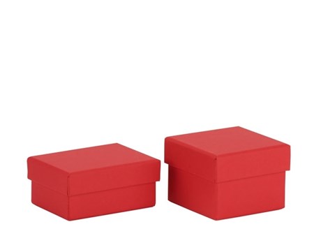 "Basics - Red" 2 + 2 Miniesker
