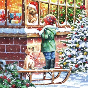 Serviett "Wishing" 33 x 33 cm, 20 stk