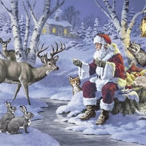 "Santa in Forest" Servietter, 33 x 33 cm, 20 stk
