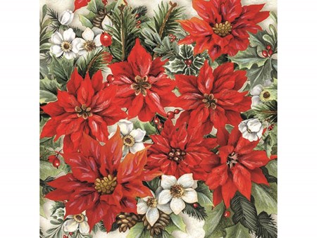 Kaffeserviett "Poinsettia All Over" 25x25 cm 20 stk.