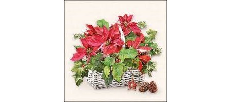 Kaffeserviett "Poinsettia in Basket "25x25 cm 20 stk.