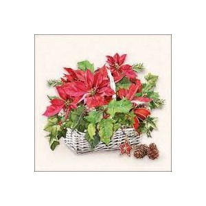 Kaffeserviett "Poinsettia in Basket "25x25 cm 20 stk.