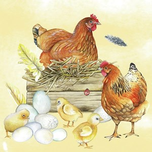 "Breeding Chicken" Servietter, 33 x 33 cm, 20 stk