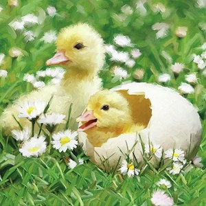 "Newborn Chicks" Servietter, 33 x 33 cm, 20 stk