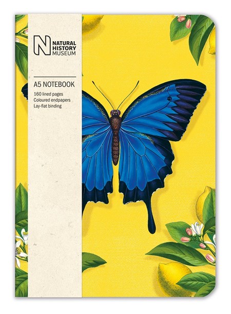 "Ulysses Butterfly" A5 Luxury Notebook
