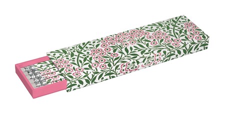 "Michaelmas Daisy", Pencil Box, 6 Eraser-tip